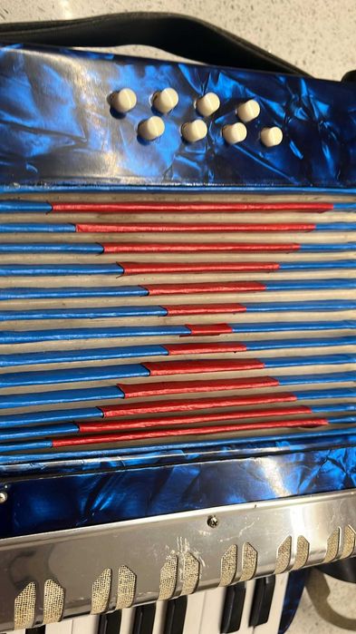 Accordion for child64365230614017121