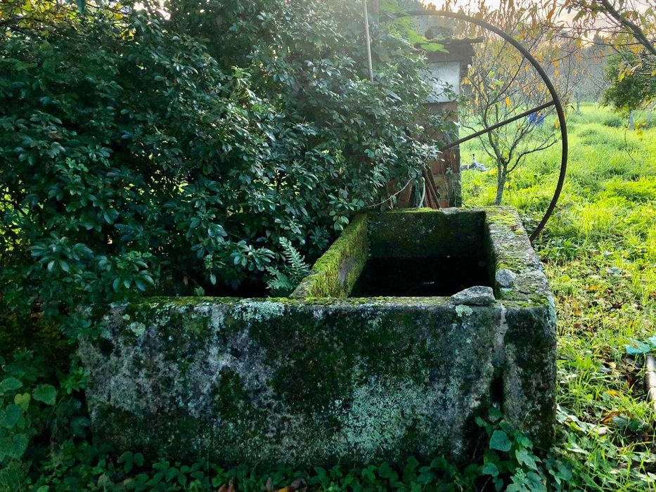 Lagar de granito