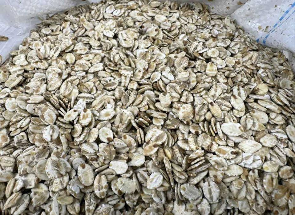Płatki Jęczmienne 10 KG Prozdrowotne Błonnik B+E bez Glifosatu