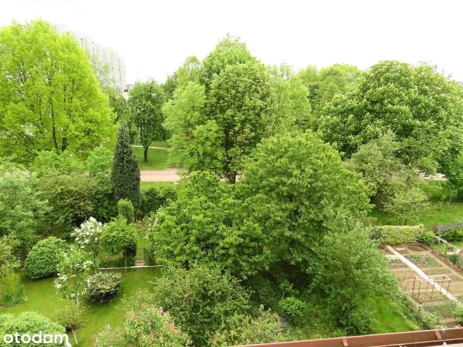 Mieszkanie, Tychy