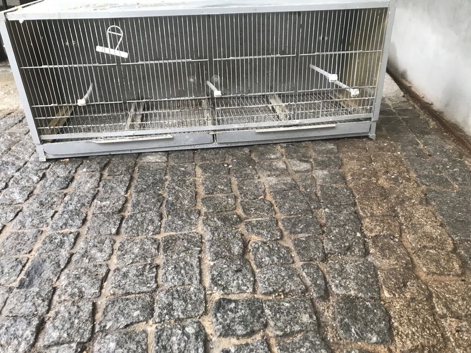 Cedo gaiolas em bom estado