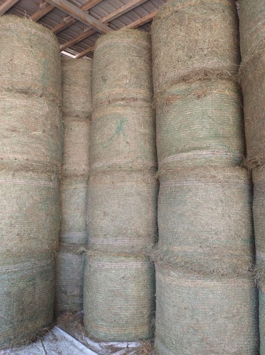 Siano z pod dachu 125/120