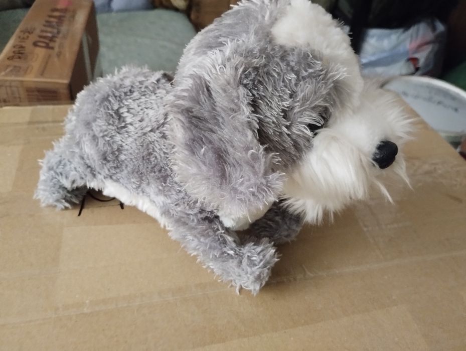 Dogs pieski mówiące interaktywne