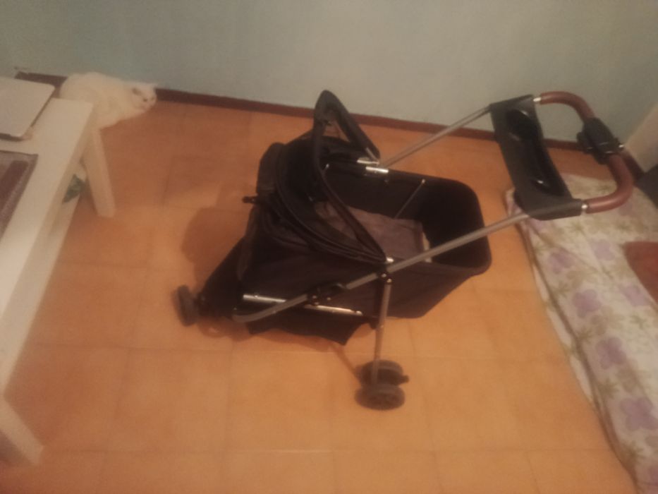 Carrinho de passeio de animais