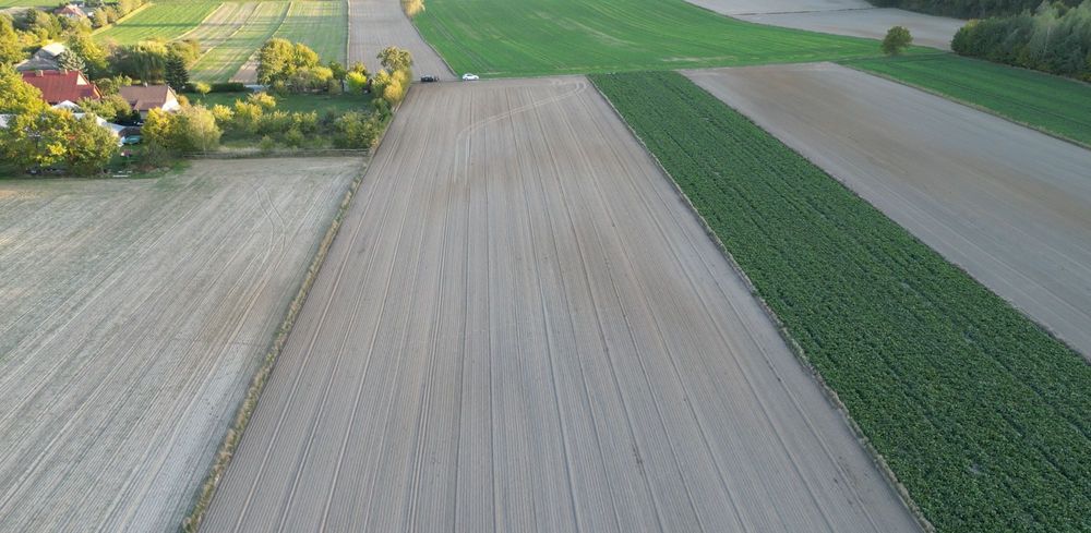 działka na sprzedaż pod budowę zagrodowa oraz zabudowę jednorodzinną Wierzchowiska drugie - Widok 5