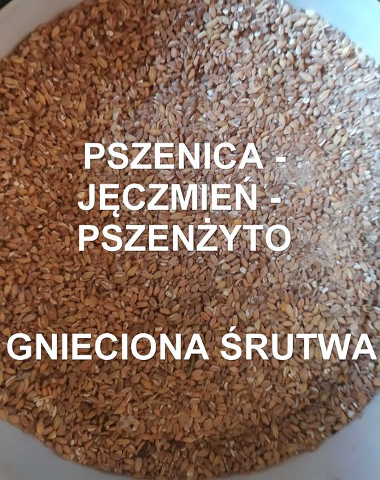 Gnieciona karma dla kaczek, gęsi, kur