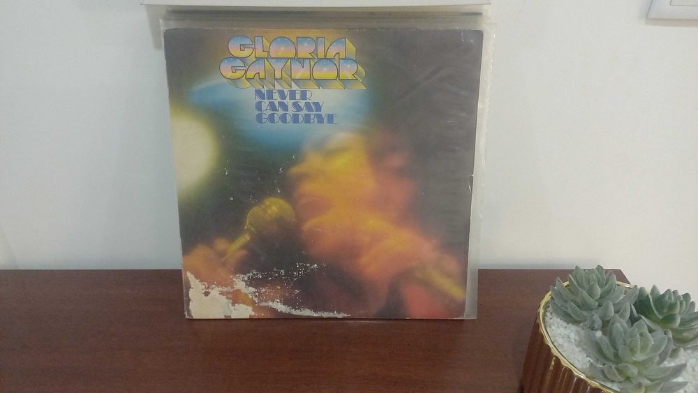 Discos de vinil rock fado soul e outros
