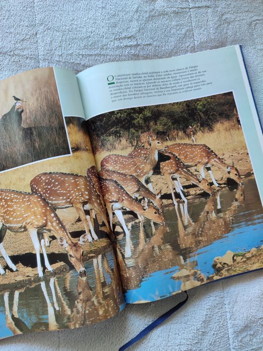 Livro: National Geographic Society - Paraísos do Mundo Animal