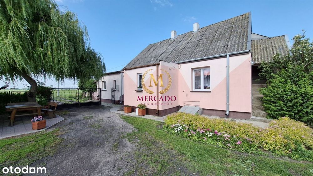 Dom z budynkami pod działalność + działka 3000 m² - Widok 2