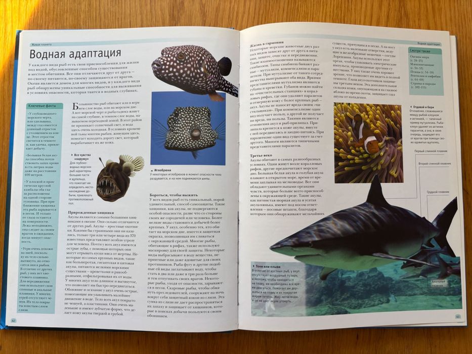 Книга Детская всемирная энциклопедия