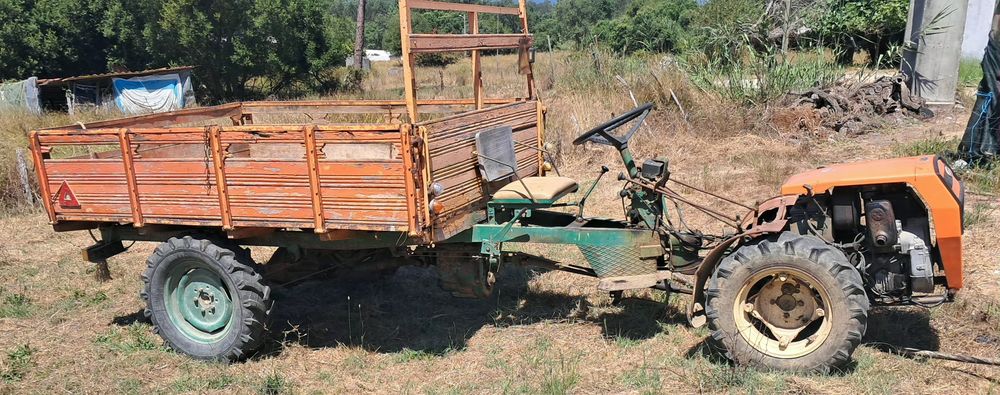 Motocultivador Goldoni 714 com reboque