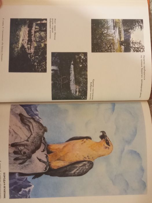 Хочу всё знать. 1983