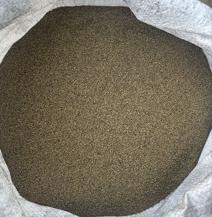 Продам насіння люцерни, конюшини