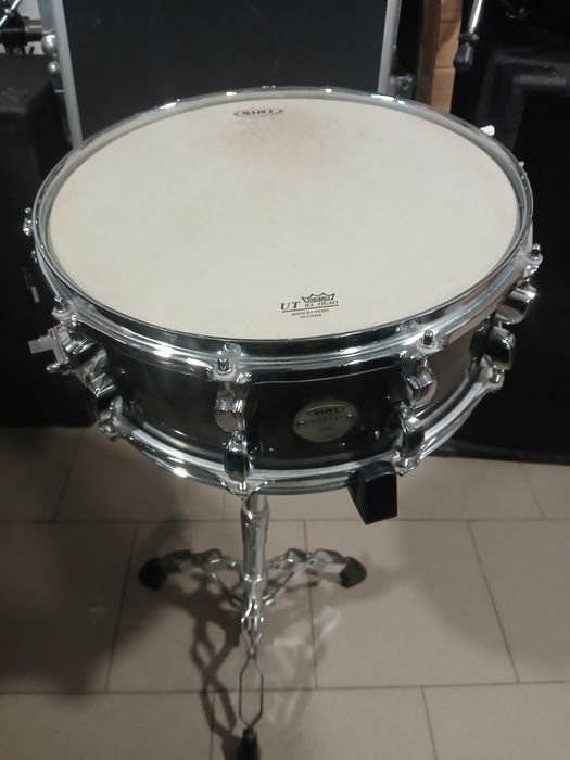 Werbel  Mapex  meridian