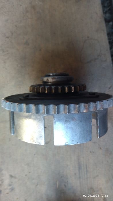 Корзина щеплення Ява старушка.