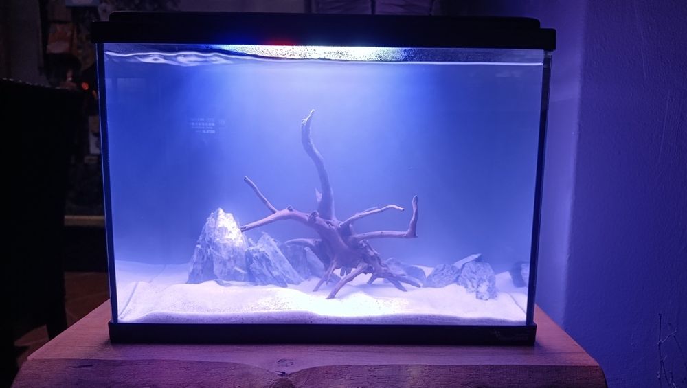 Aquário pequeno 12L