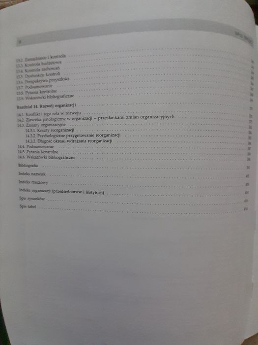 Sprawne zarządzanie organizacją. Zarys teorii i praktyki