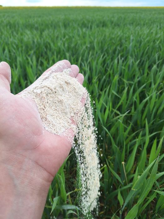 Wapno magnezowe z dostawą!!!