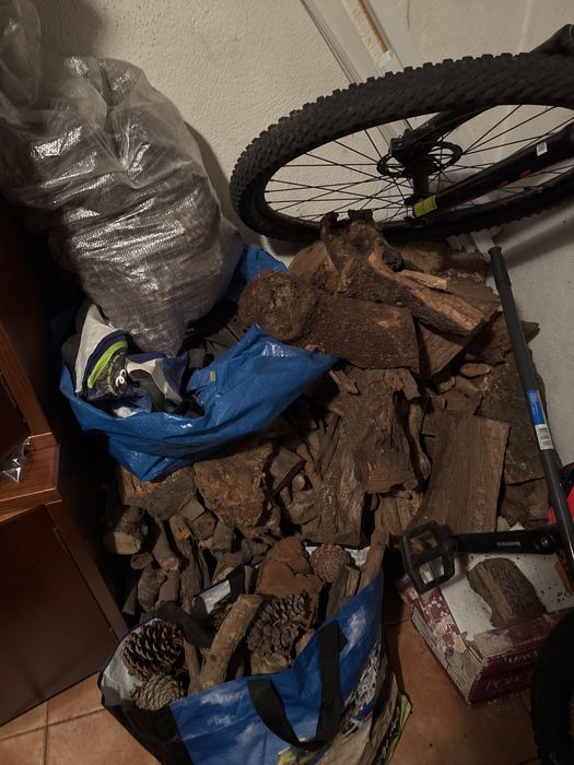 Lenha variada e pinhas