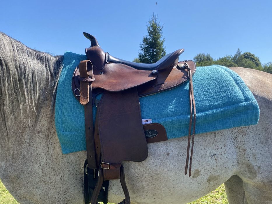 Siodło westernowe 15cali, Simco, krótkie, wygodne