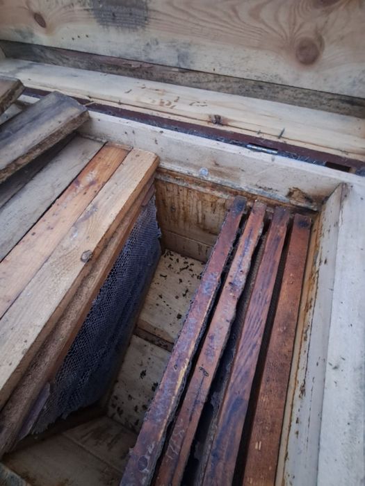 Вулики лежак на 24 рамки