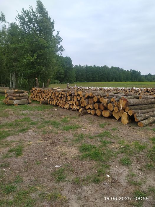 Drzewo , drewno opałowe, opał , drewno tartaczne,dłużyca.
