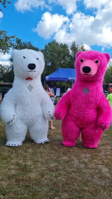 Żywa maskotka postaci dla dzieci na urodziny miś mini Maus mainkraft