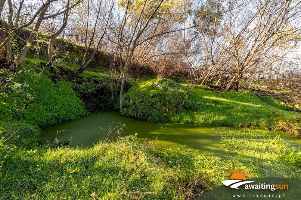 Quinta com casa e água – 1 hectare natureza Serra da Estrela
