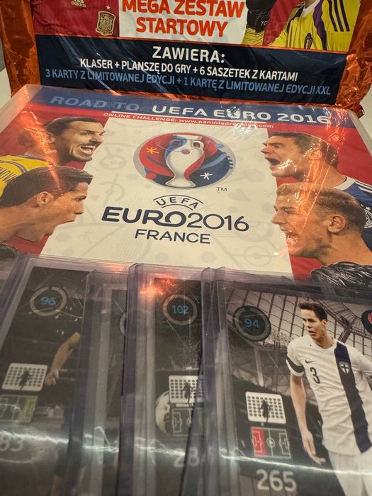 Kompletne albumy panini