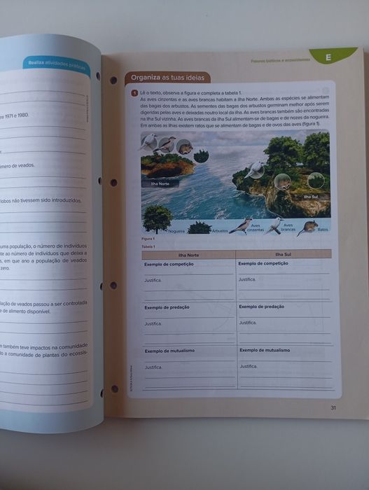 Cadernos de Atividades 8° ano