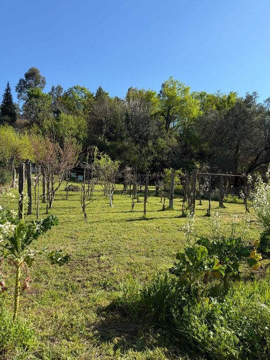 Quintinha Rústica no Gerês – Refúgio de Natureza e Tradição