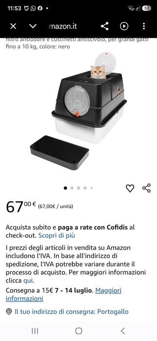 Caixa de areia para gatos
