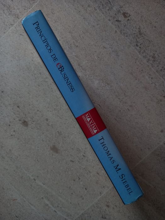 Princípios de e Business, Thomas M. Siebel