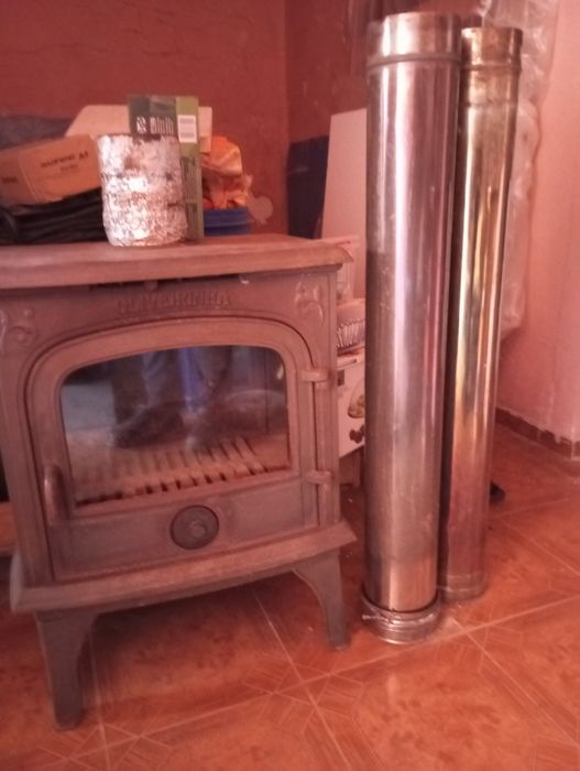 Salamandra Oliveirinha