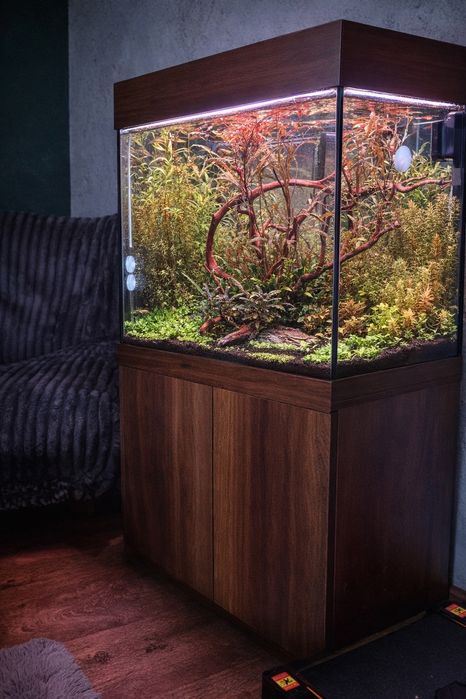 Akwarium Juwel Lido 120
