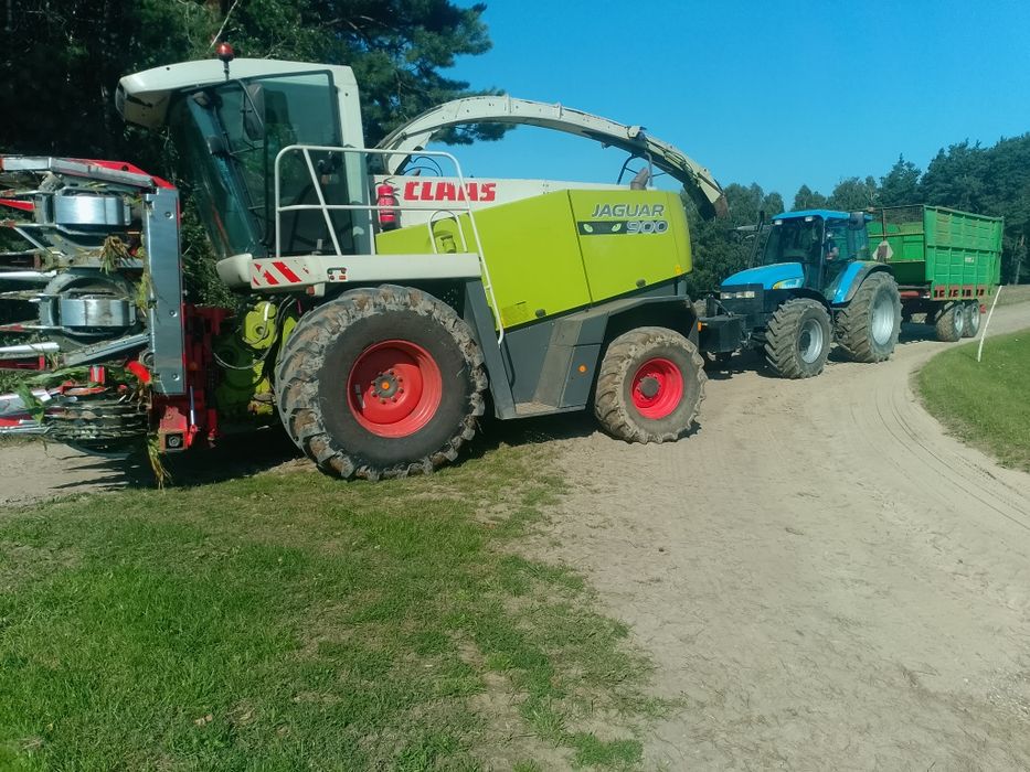 Zbiór kukurydza na kiszonkę trawy sieczkarnia Claas jaguar 890 900