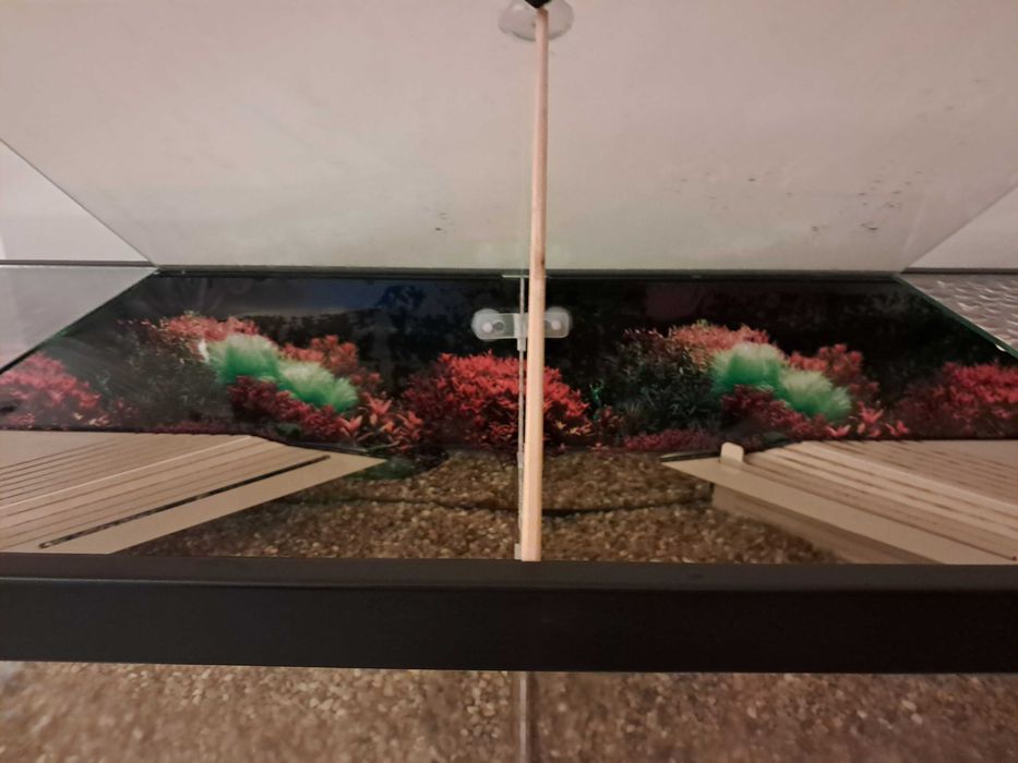 Vendo terrario como novo (2 anos de uso) para tartarugas da Terratlantis.