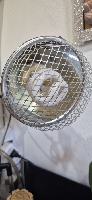 Candeeiro para terrario/réptil