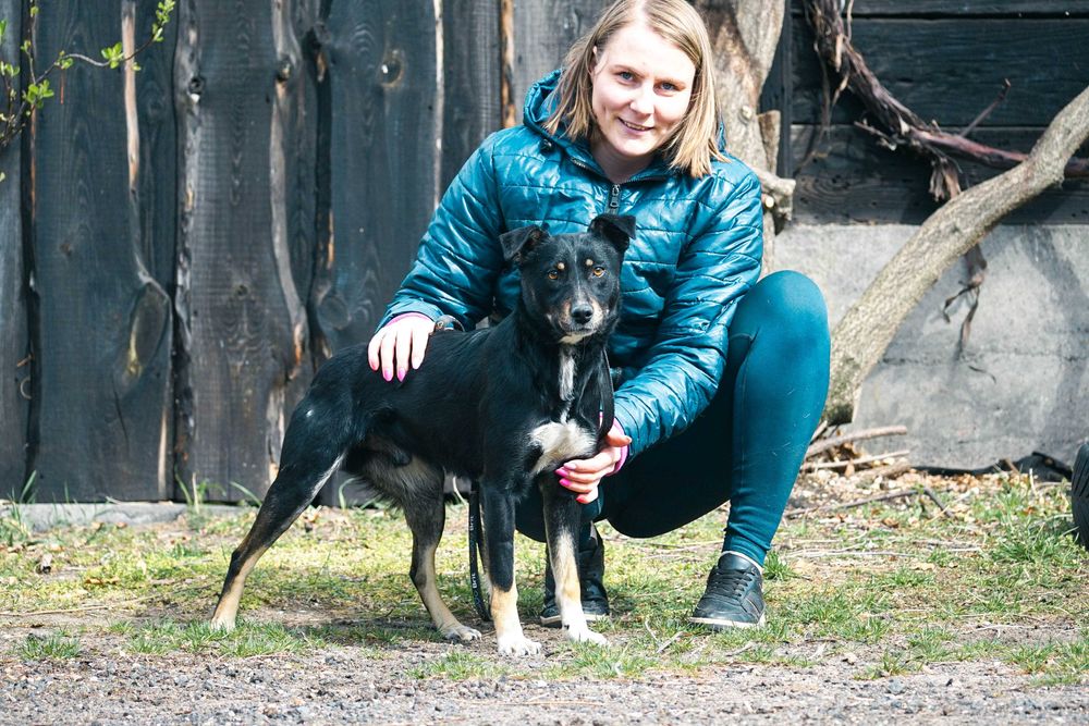 Kokos - niewielki, mały, łagodny psiak szuka domu