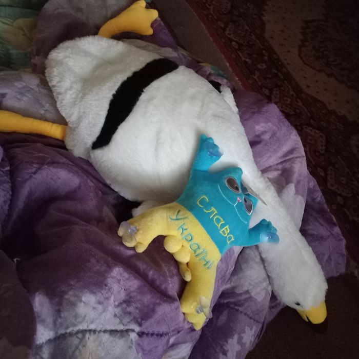 Игрушки детские мягкие и  термосс