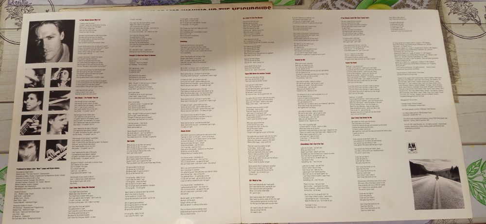 Discos de vinil Bryan Adams