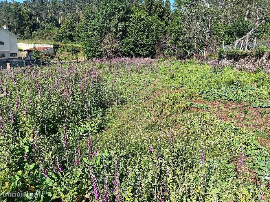 Terreno  para venda