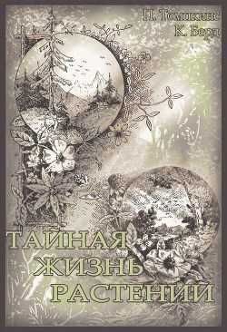 Этнические стереотипы поведения