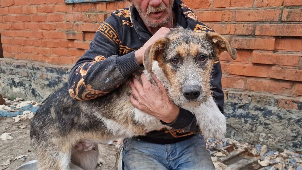 Найкращий хлопчик Річард 1рік чекає на тебе