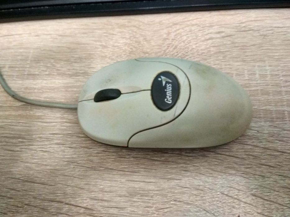 Мышка компьютерная Genius мышь, оптическая мышь