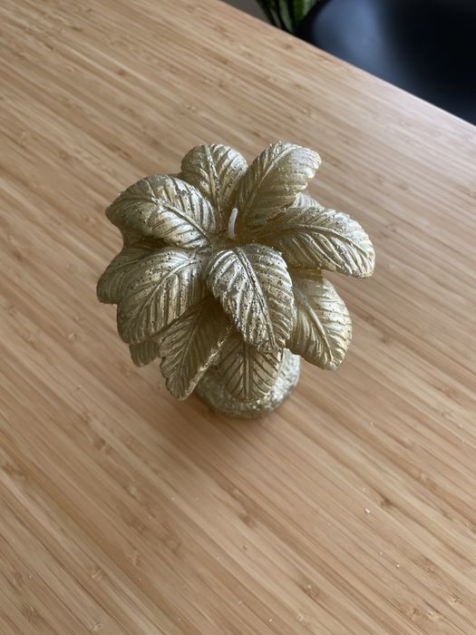 Vela - palmeira dourada