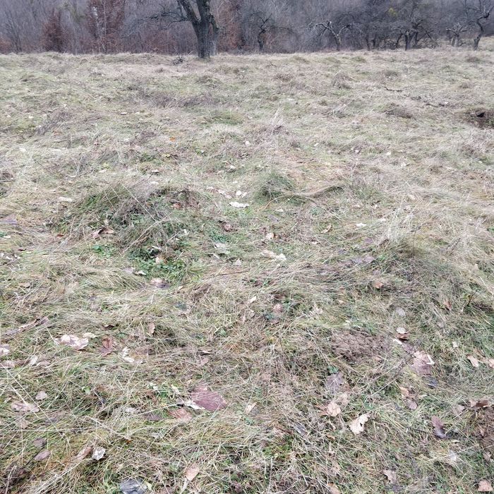 Продається земельна ділянка