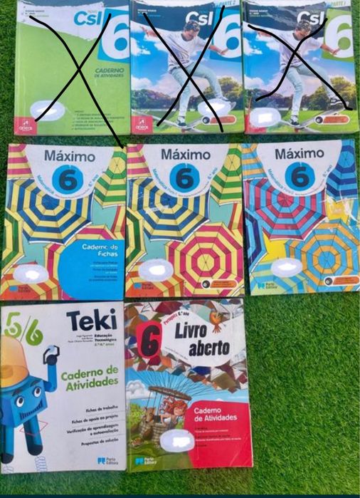 Livros escolares 6 ano