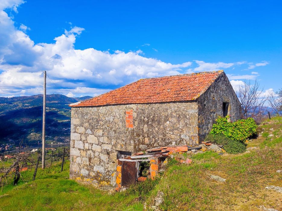 Quinta 7400m2 em Resende com vista para Rio Douro