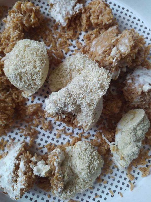 СКИДКА ‼️ Ежовик  250 грамм